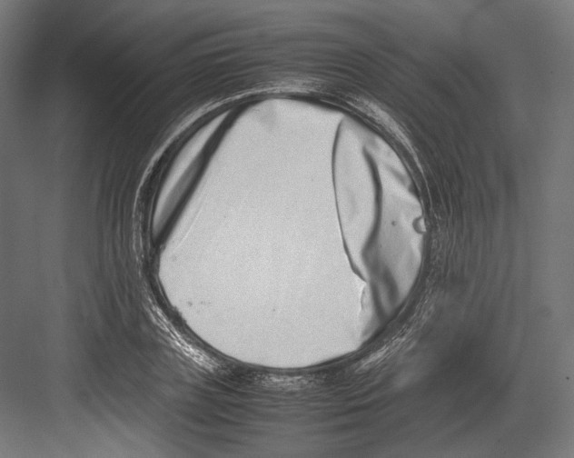 X0000082700835200702161747