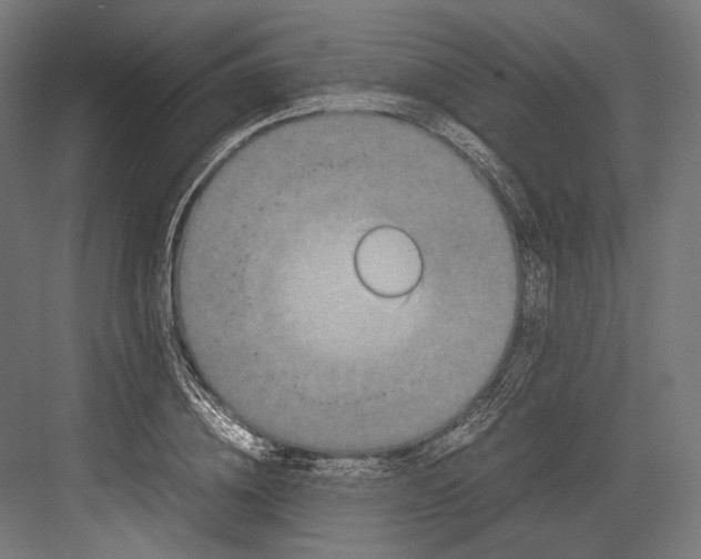 X0000082700836200702161748