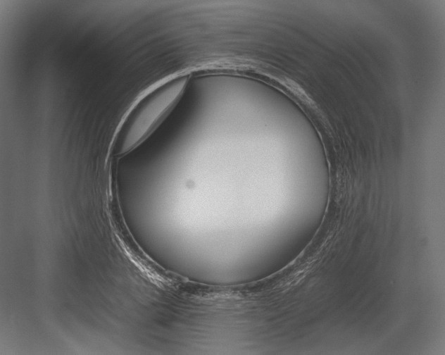 X0000082700838200702161748