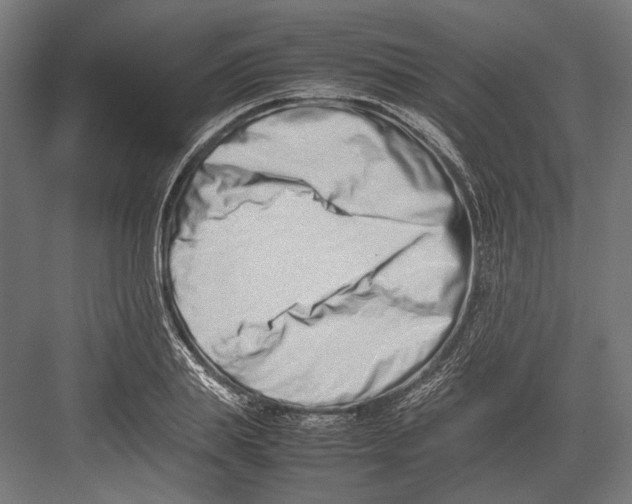 X0000082700839200702161748