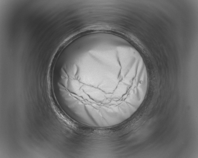 X0000082700840200702161748