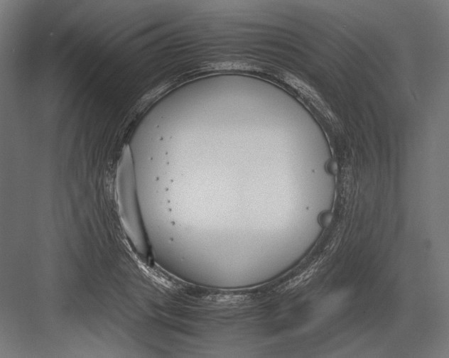 X0000082700841200702161748