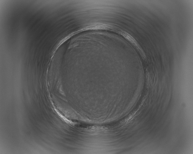 X0000082700842200702161748