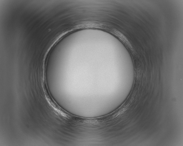 X0000082700844200702161748