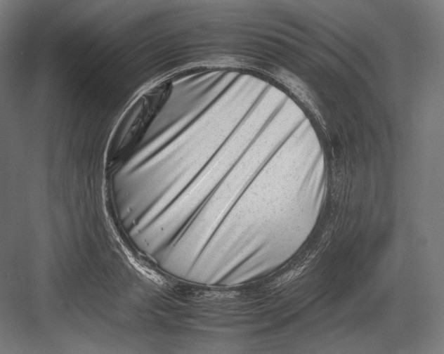 X0000082700845200702161748