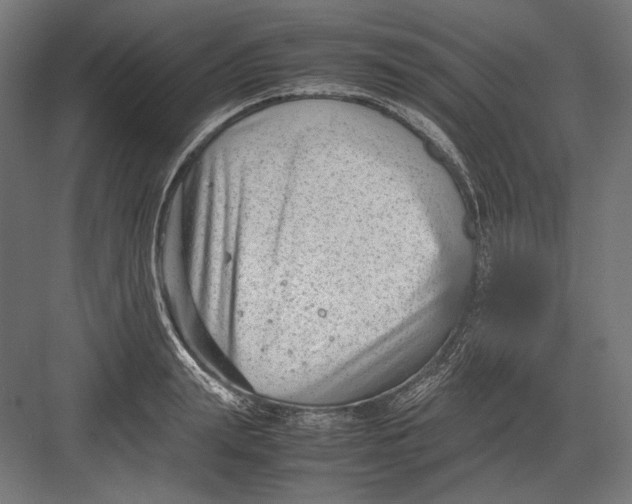 X0000082700847200702161748