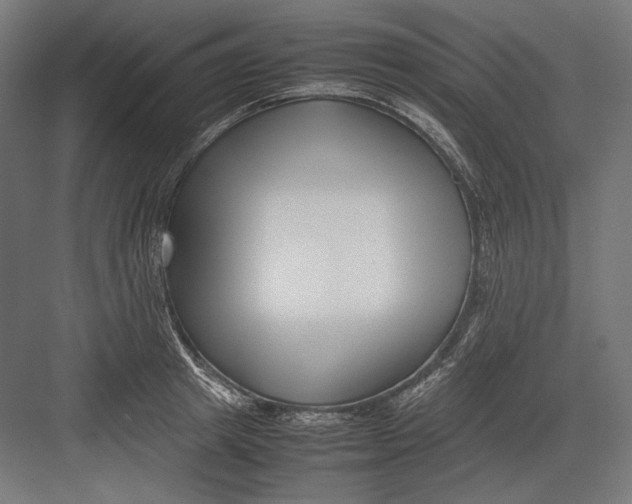 X0000082700849200702161748