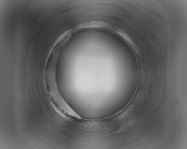 X0000082700850200702161748