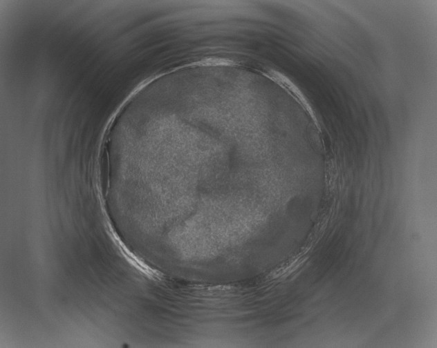 X0000082700851200702161748