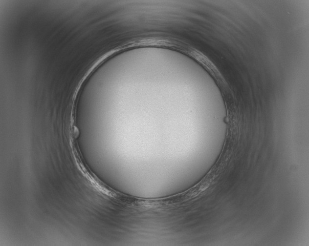 X0000082700852200702161748