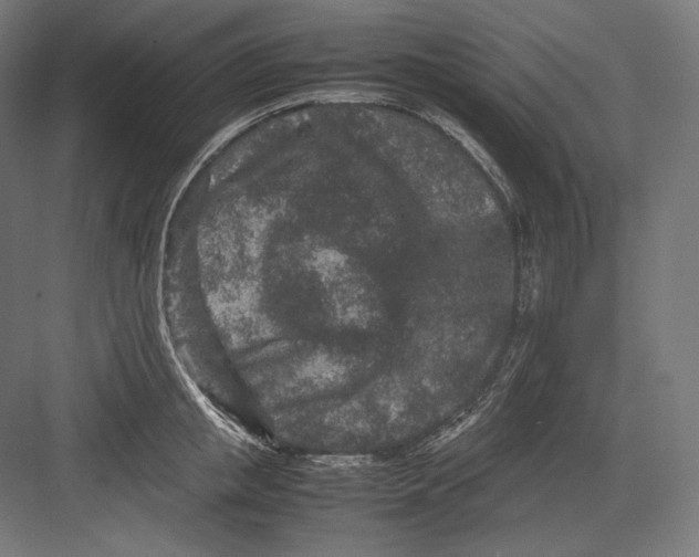 X0000082700853200702161748