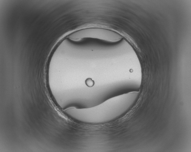 X0000082700854200702161748