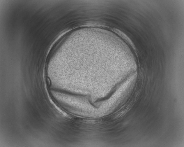 X0000082700855200702161748