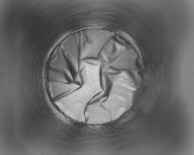 X0000082700859200702161748