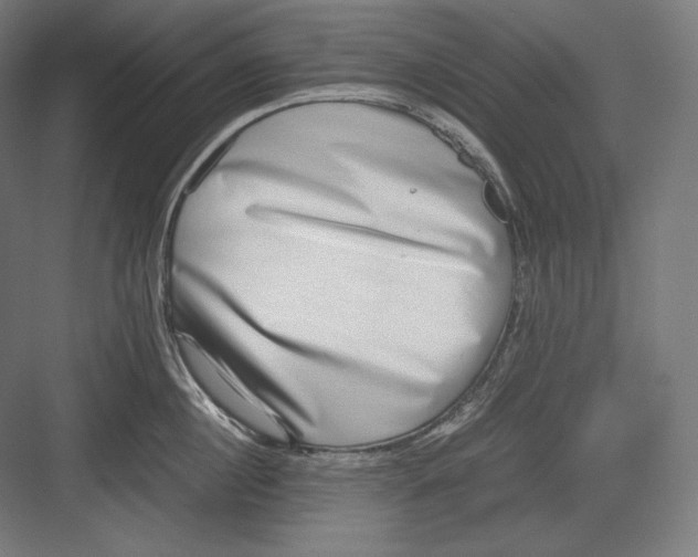 X0000082700860200702161748