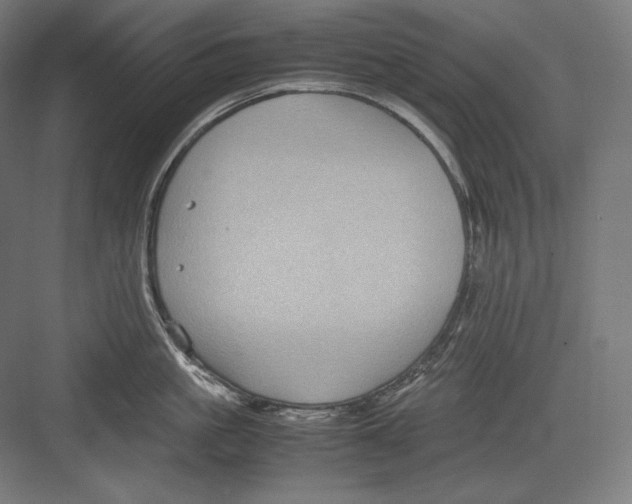 X0000082700861200702161748