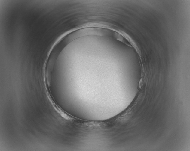 X0000082700862200702161748