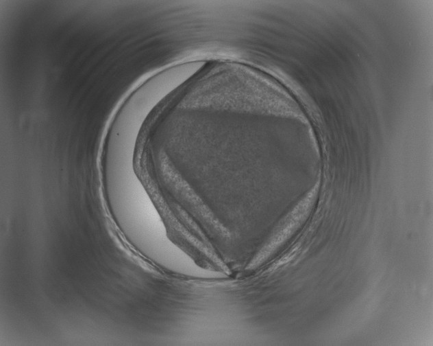 X0000082700864200702161748