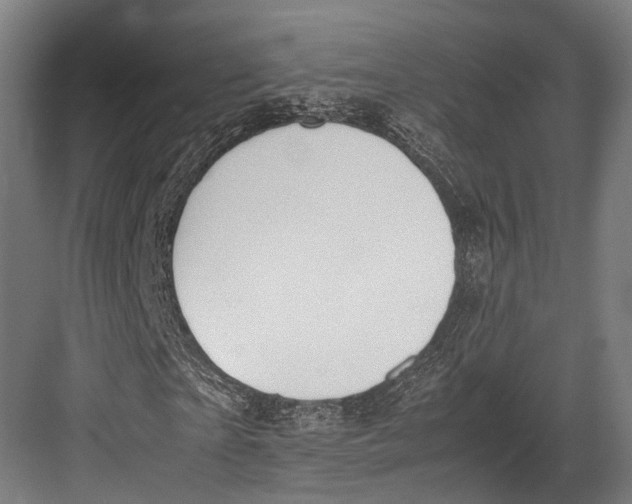 X0000082700865200702161747