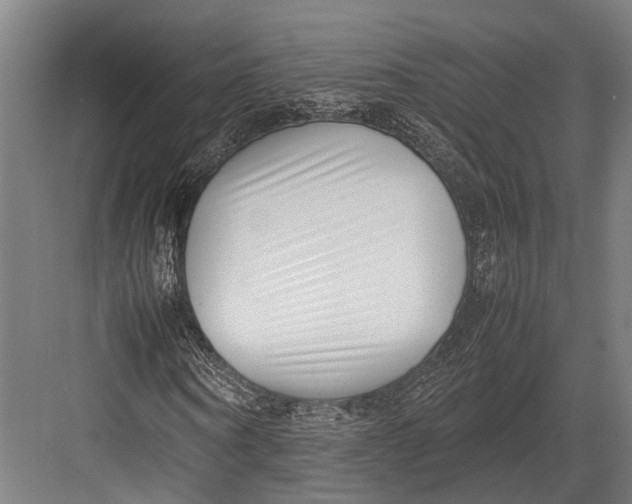 X0000082700866200702161747