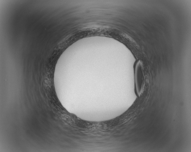 X0000082700869200702161747