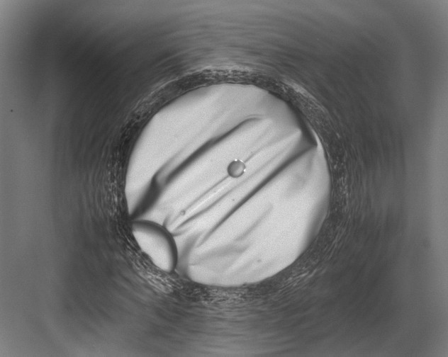 X0000082700870200702161747