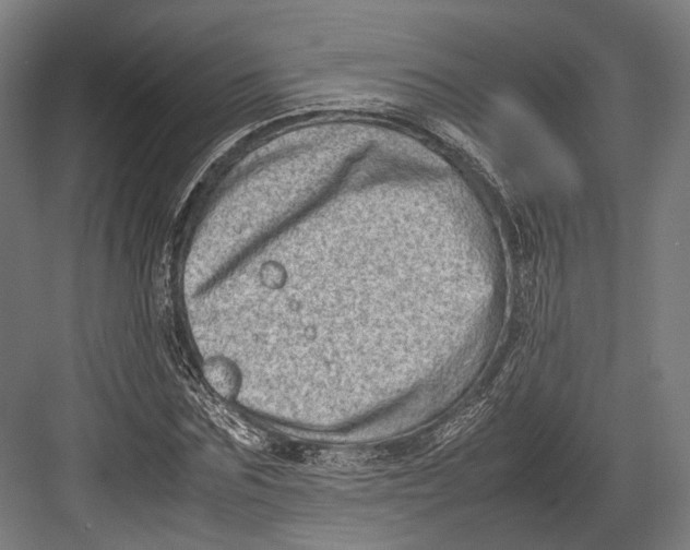 X0000082700875200702161747