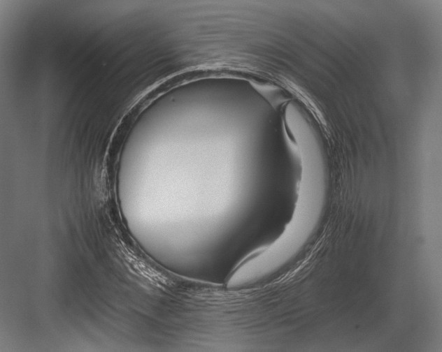 X0000082700876200702161747