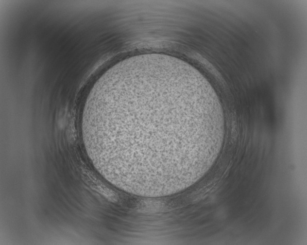 X0000082700878200702161747