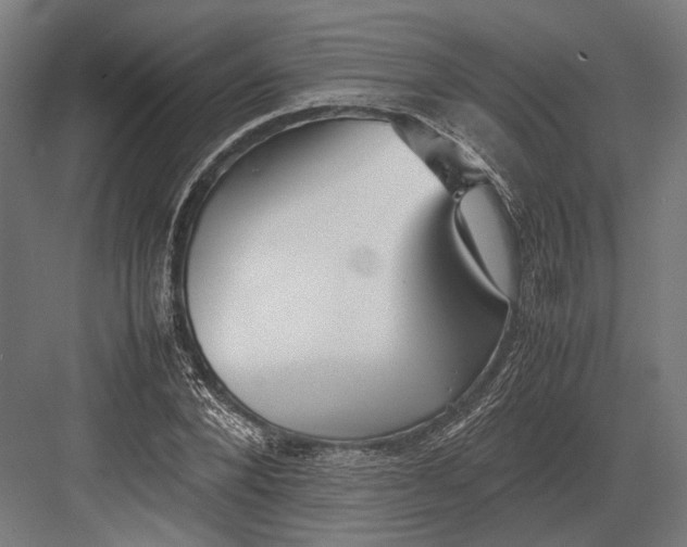 X0000082700880200702161747