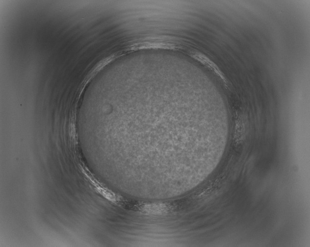 X0000082700882200702161747