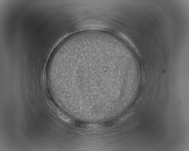 X0000082700883200702161747