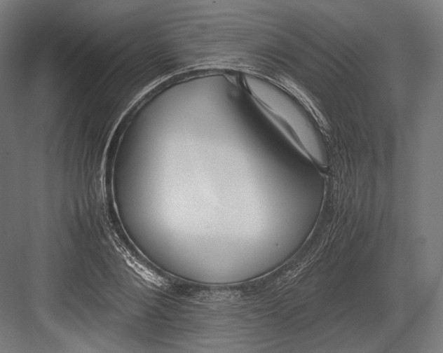 X0000082700884200702161747