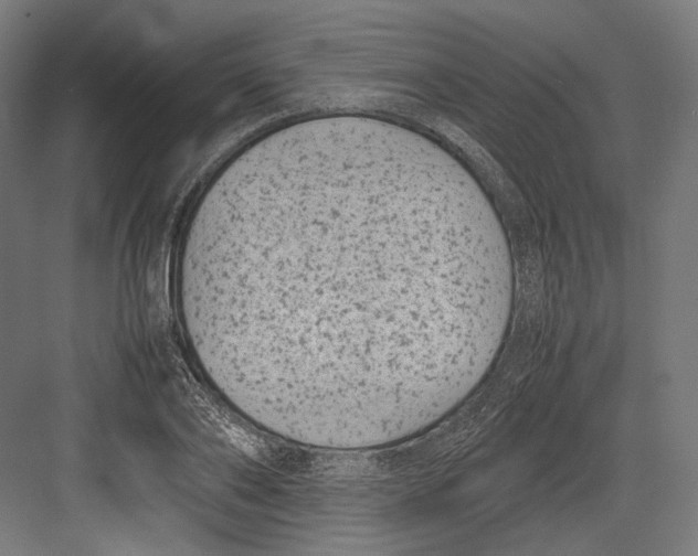 X0000082700886200702161747