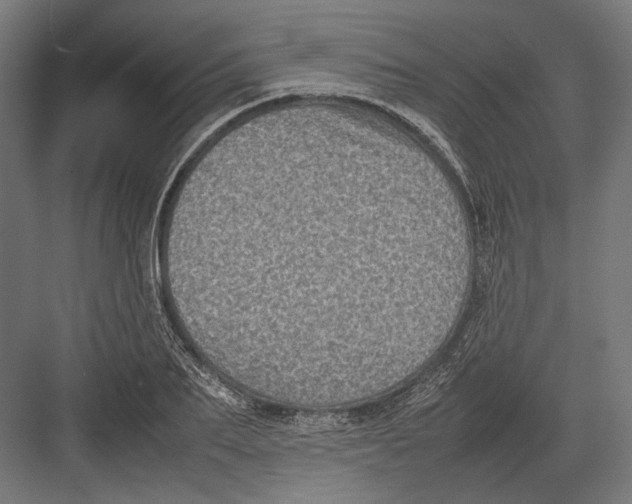 X0000082700887200702161747