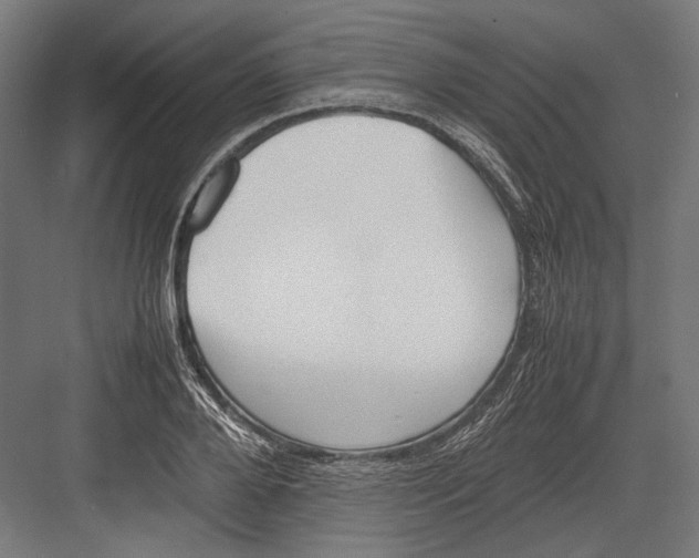 X0000082700888200702161747