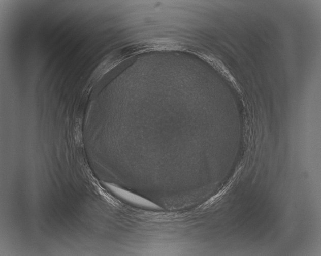 X0000082700889200702161747