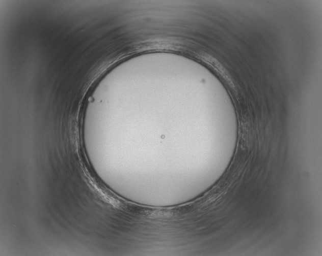 X0000082700890200702161747