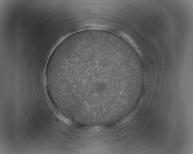 X0000082700891200702161747