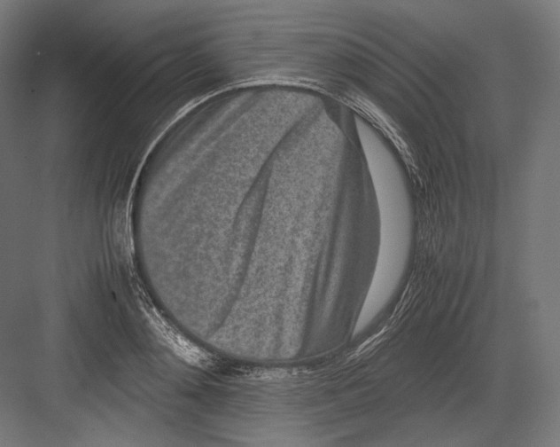 X0000082700892200702161747