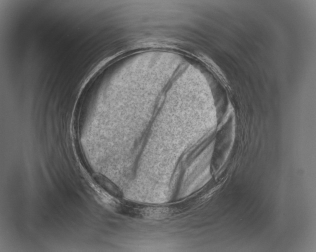 X0000082700893200702161747