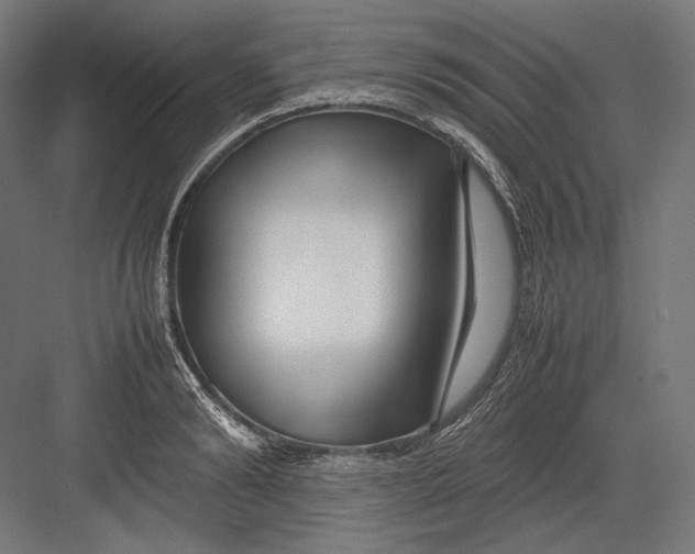 X0000082700894200702161747