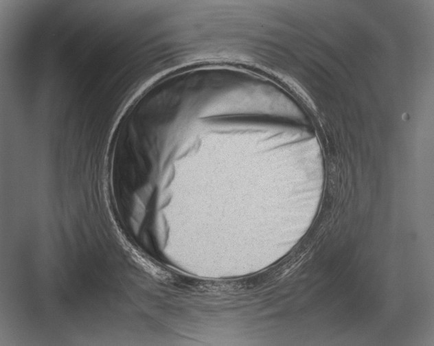 X0000082700895200702161747