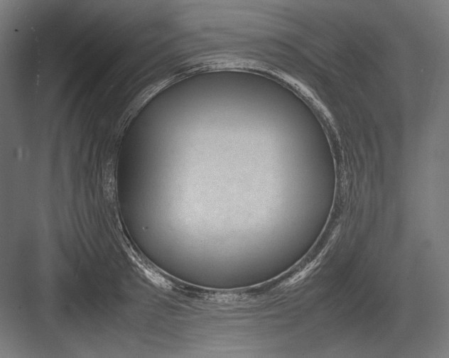 X0000082700897200702161747