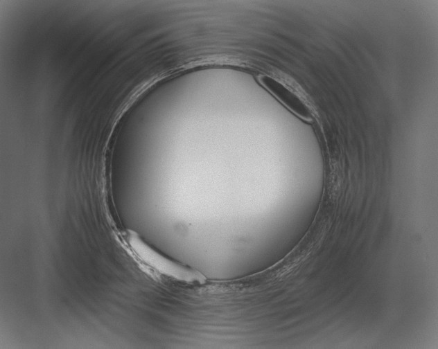 X0000082700898200702161747