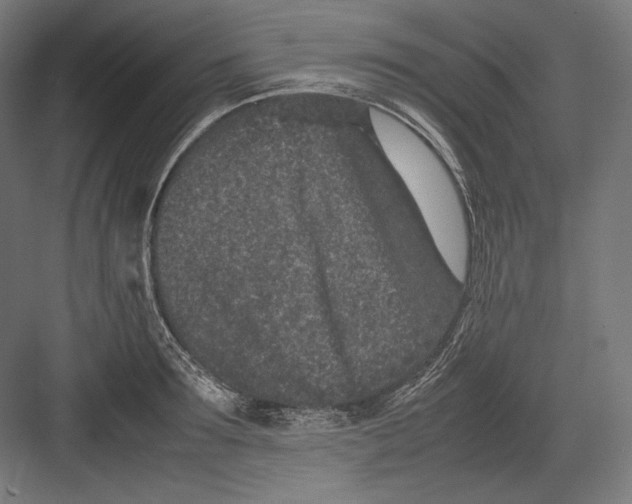 X0000082700899200702161747