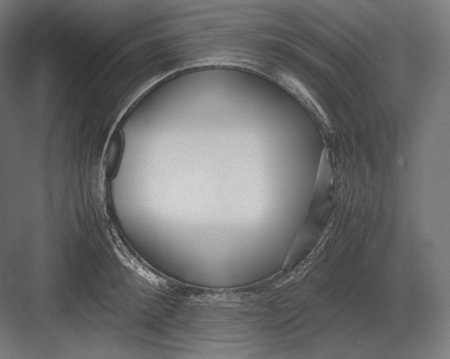 X0000082700900200702161747