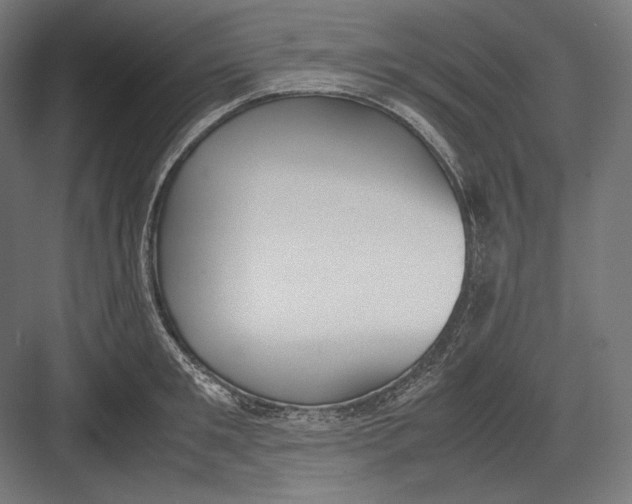 X0000082700901200702161747