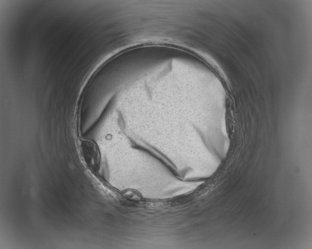 X0000082700903200702161747