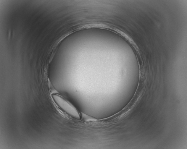 X0000082700905200702161746